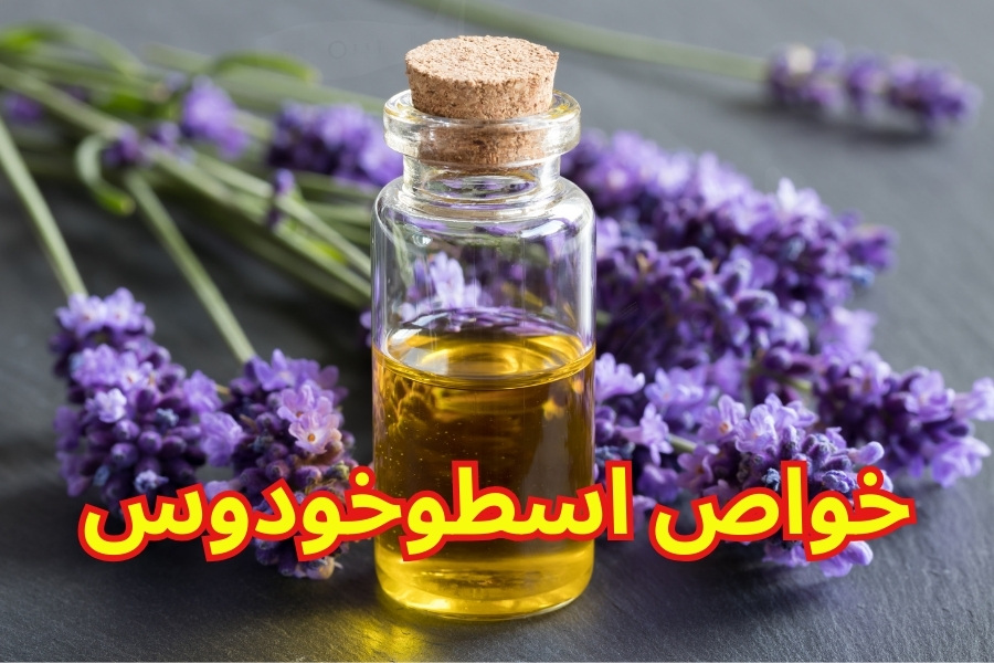 معجزه اسطوخودوس