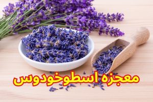 معجزه اسطوخودوس