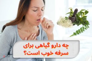 best-herbal-remedies-for-cough-treatment