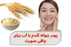 wheat-germ-powder-for-face-skin-volume